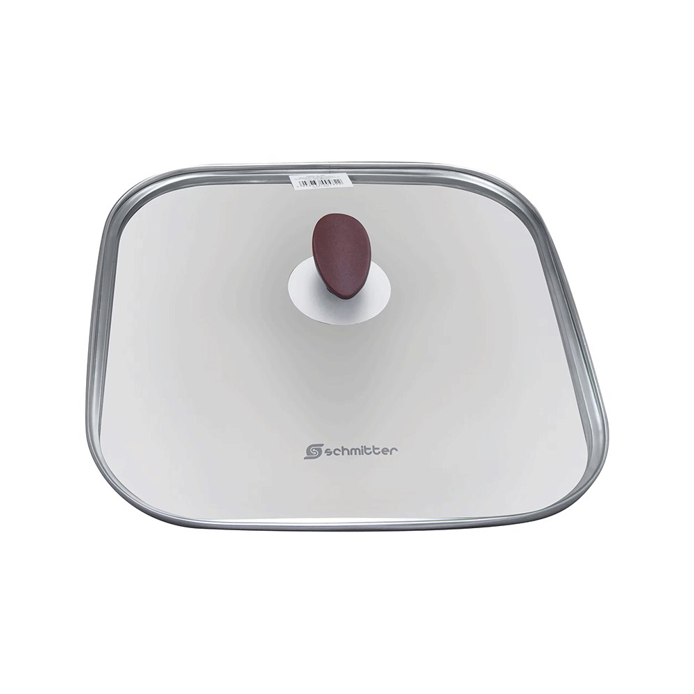 SCHMITTER CAPAC STICLA GRILL PATRAT