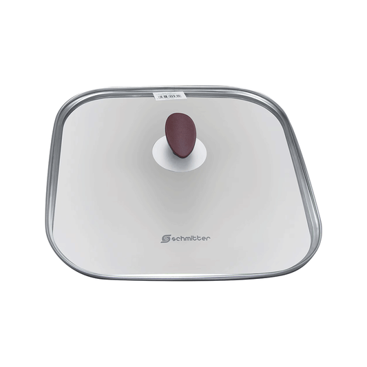 SCHMITTER CAPAC STICLA GRILL PATRAT